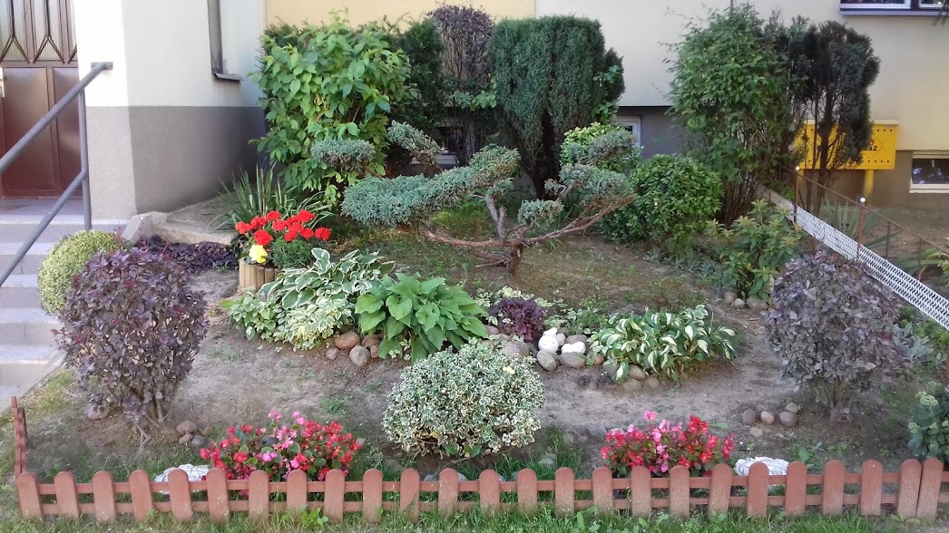 Podsumowanie konkursu na najpiękniejszy ogródek i balkon