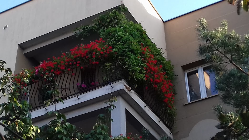Podsumowanie konkursu na najpiękniejszy ogródek i balkon