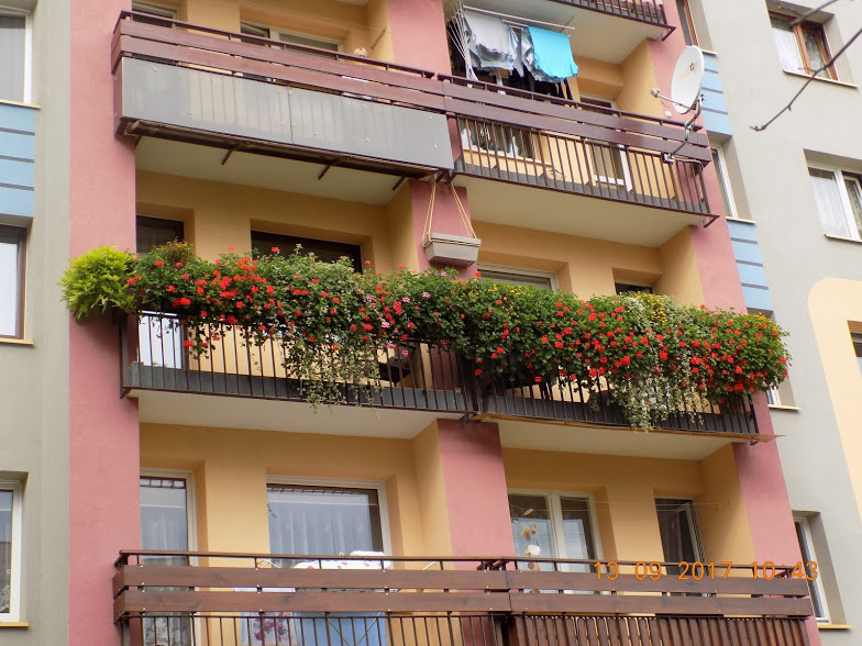 Podsumowanie konkursu na najpiękniejszy ogródek i balkon