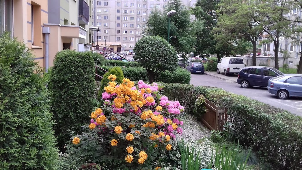 Podsumowanie konkursu na najpiękniejszy ogródek i balkon