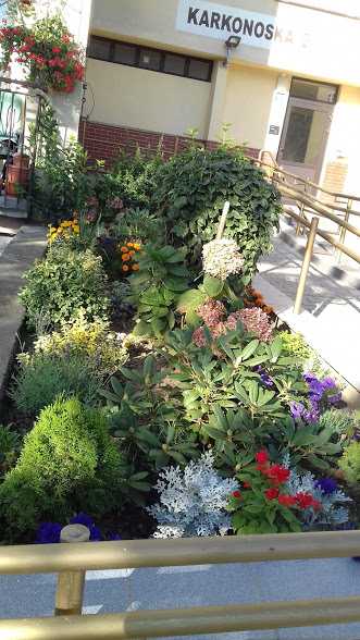 Podsumowanie konkursu na najpiękniejszy ogródek i balkon