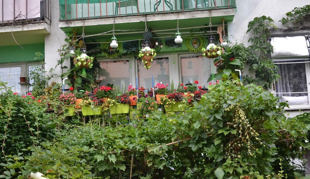 Podsumowanie konkursu na najpiękniejszy ogródek i balkon