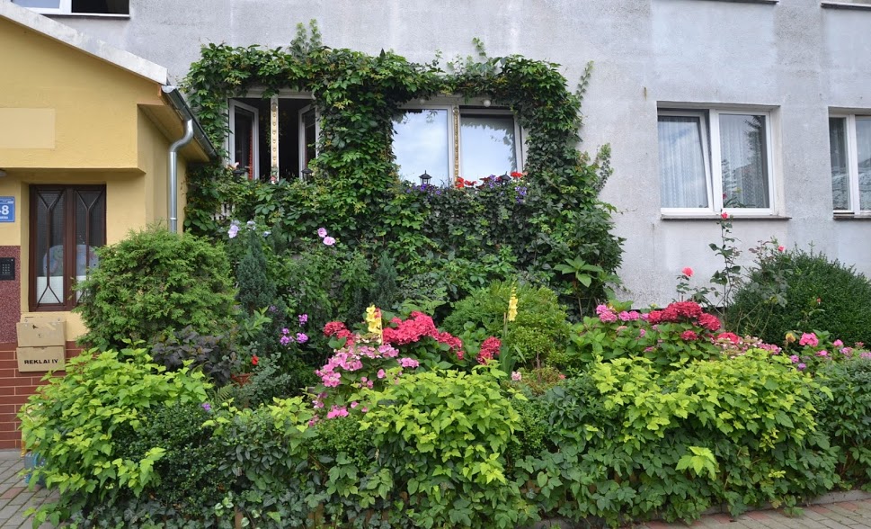 Podsumowanie konkursu na najpiękniejszy ogródek i balkon