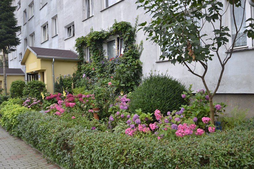 Podsumowanie konkursu na najpiękniejszy ogródek i balkon