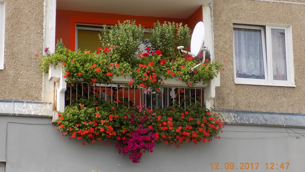 Podsumowanie konkursu na najpiękniejszy ogródek i balkon