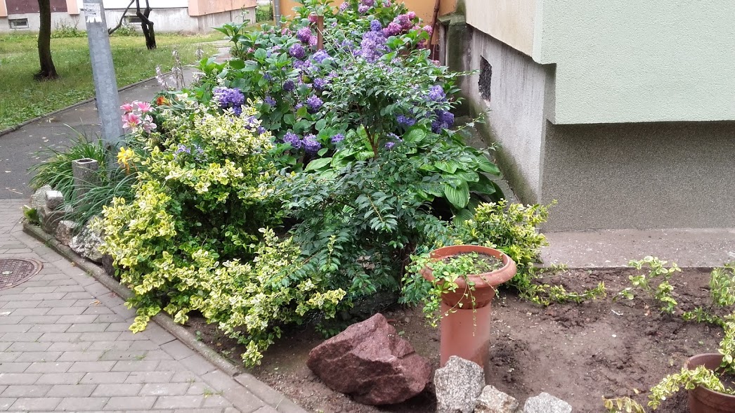 Podsumowanie konkursu na najpiękniejszy ogródek i balkon
