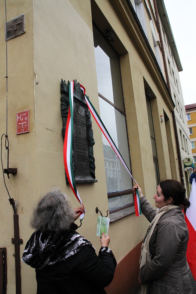 Ambasador Węgier Ursula Kovac odsłoniła tablicę w rynku