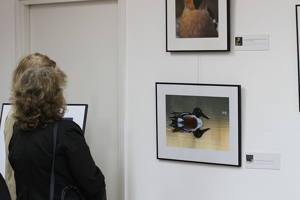 Fotografie Grzegorza Bobrowicza w Zamku Piastowskim