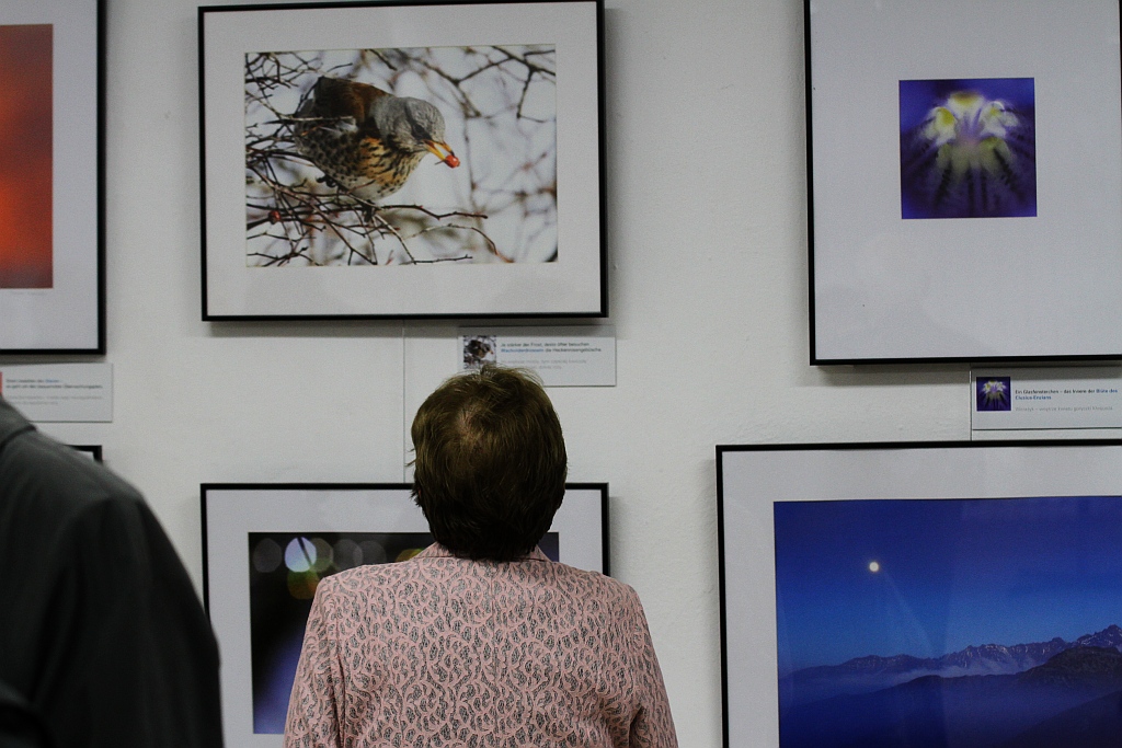 Fotografie Grzegorza Bobrowicza w Zamku Piastowskim