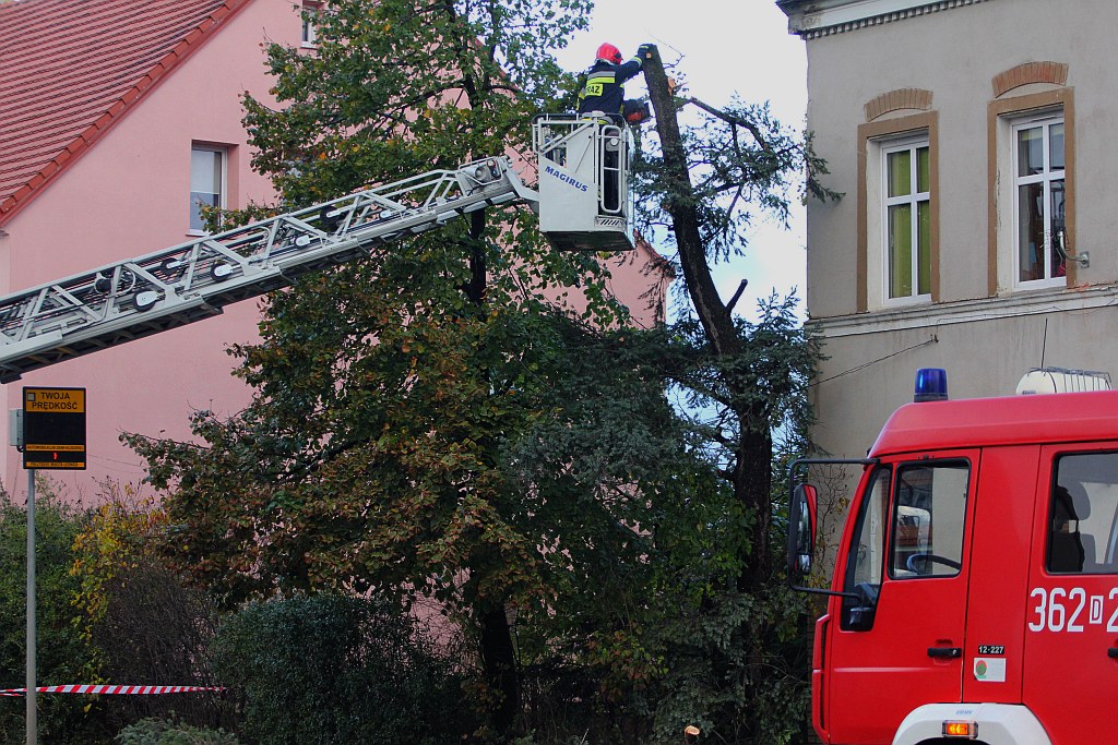 Orkan Grzegorz dotarł do Legnicy i sieje zniszczenie
