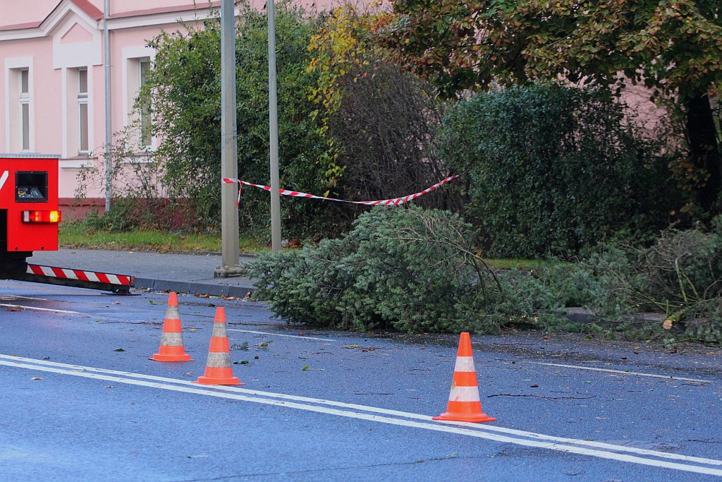 Orkan Grzegorz dotarł do Legnicy i sieje zniszczenie