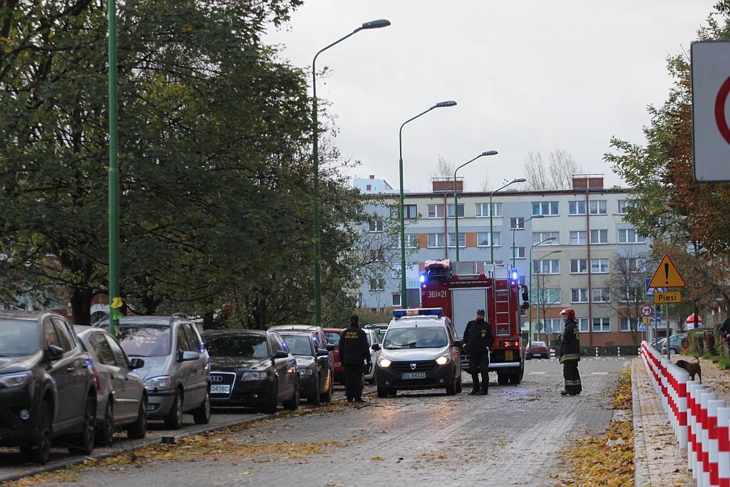 Orkan Grzegorz dotarł do Legnicy i sieje zniszczenie