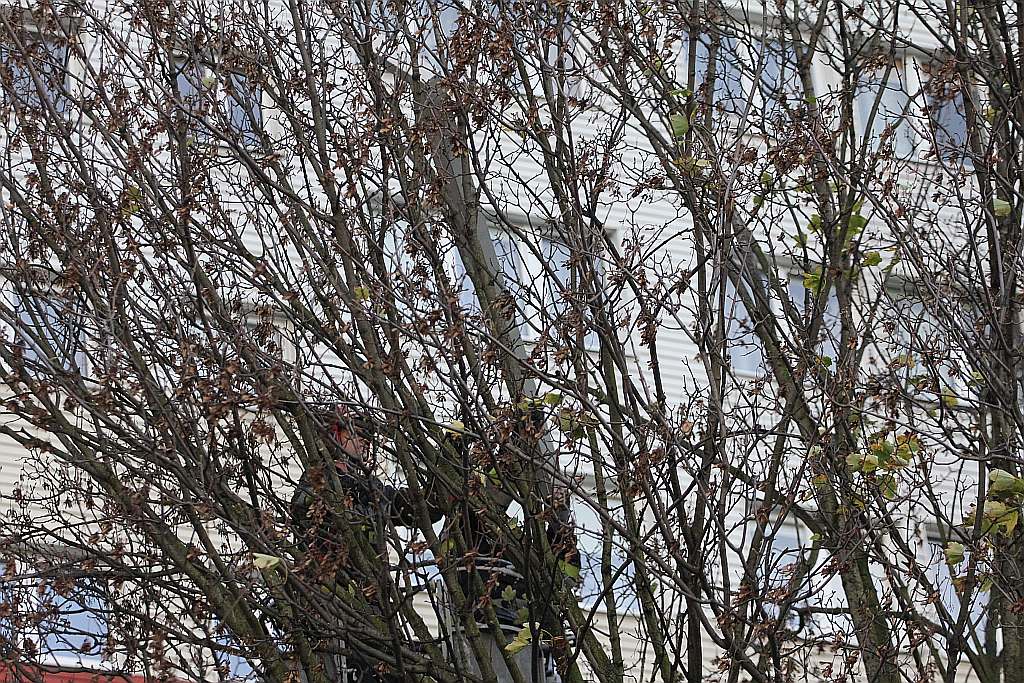 Orkan Grzegorz dotarł do Legnicy i sieje zniszczenie