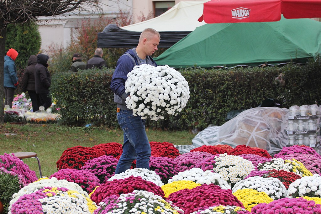 Rozpoczęła się sprzedaż kwiatów, stroików i zniczy na groby