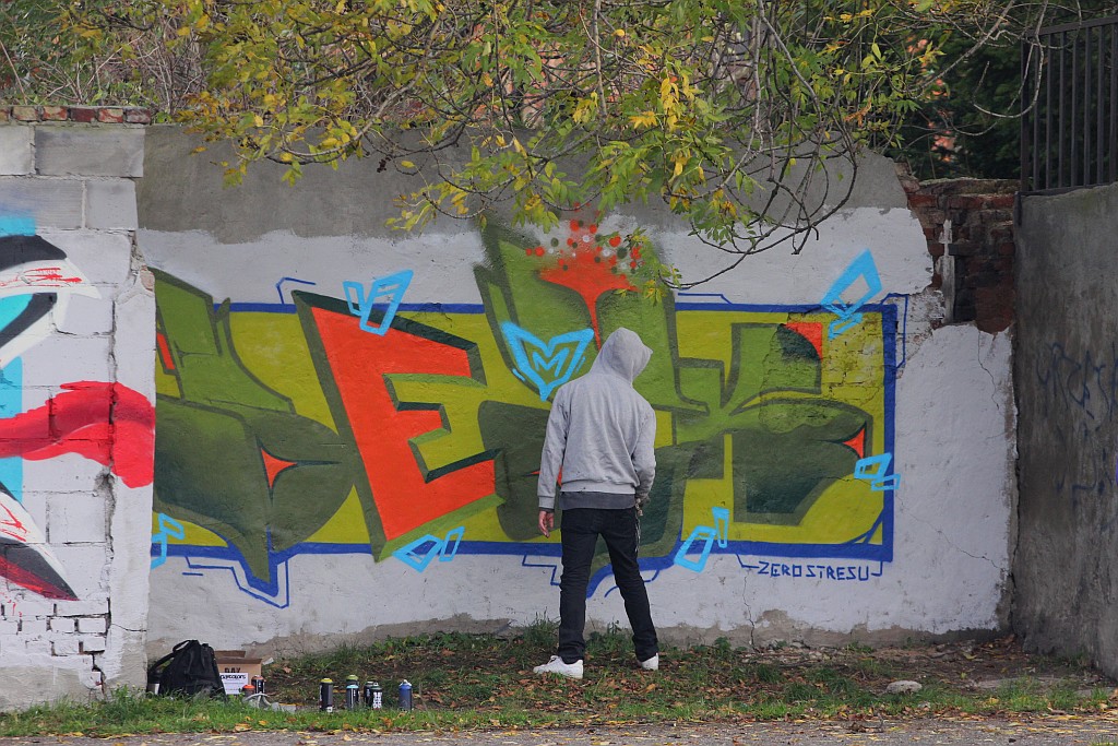 Na murach przy ulicy Kartuskiej powstało graffiti