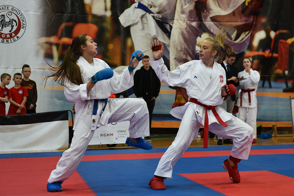 Na Piekarach wystartowała 18. edycja turnieju karate Cuprum Cup