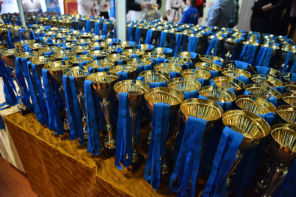 Na Piekarach wystartowała 18. edycja turnieju karate Cuprum Cup