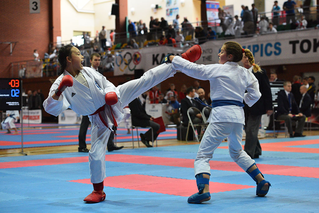 W ZSI zakończył się 2. dzień 18. edycji turnieju karate Cuprum