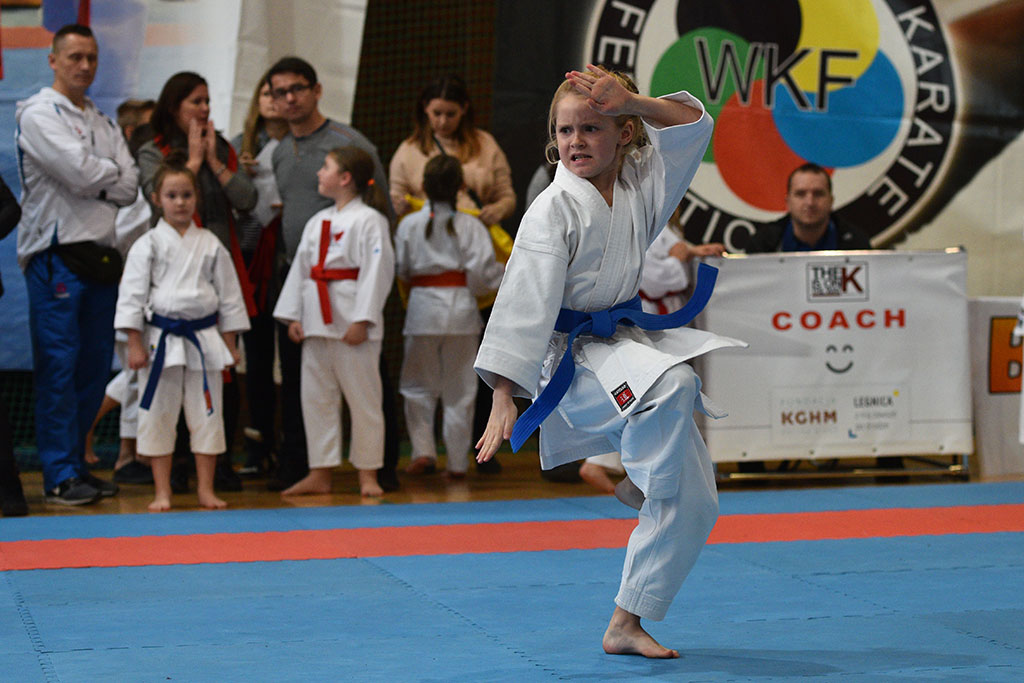 W ZSI zakończył się 2. dzień 18. edycji turnieju karate Cuprum