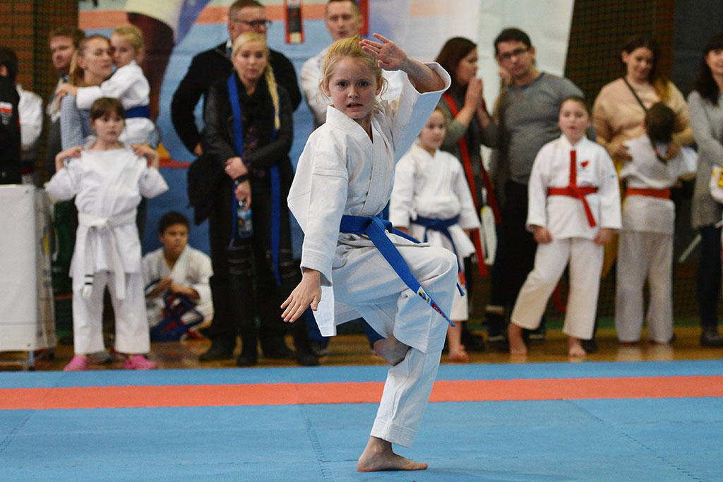 W ZSI zakończył się 2. dzień 18. edycji turnieju karate Cuprum