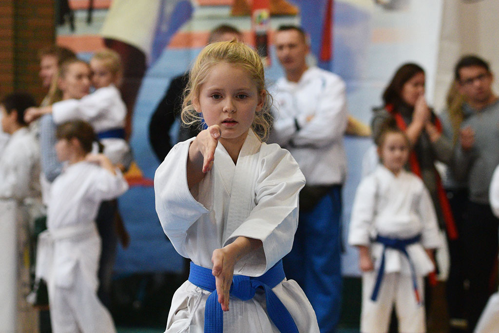 W ZSI zakończył się 2. dzień 18. edycji turnieju karate Cuprum