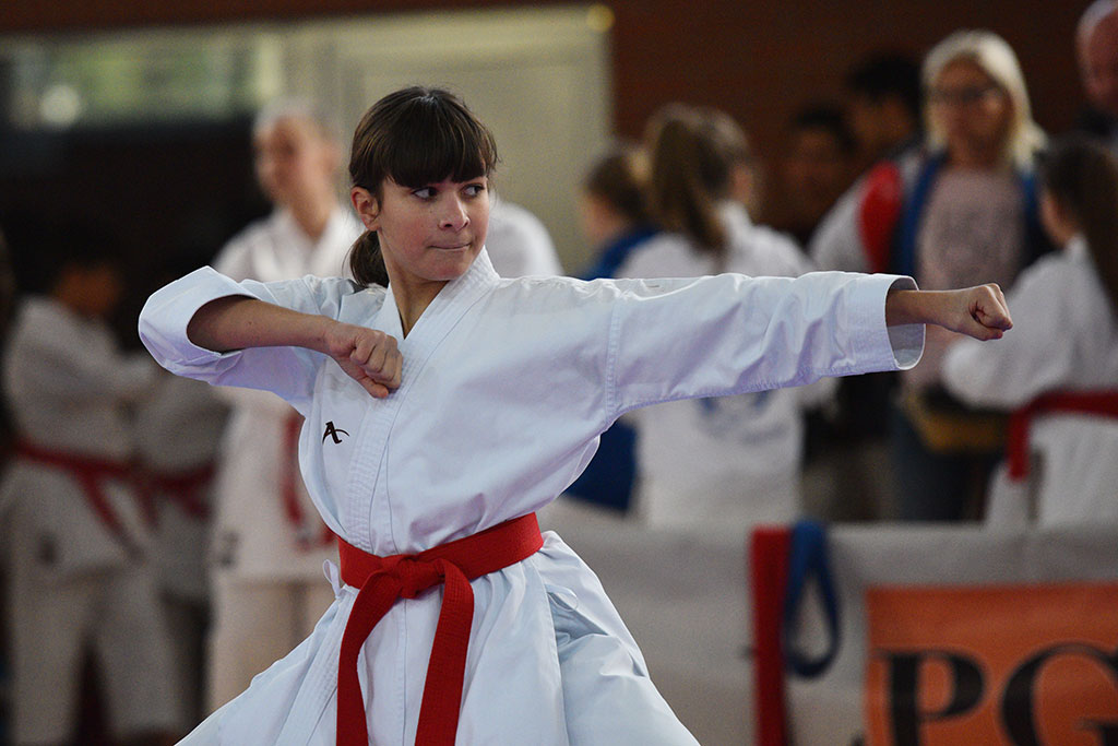 W ZSI zakończył się 2. dzień 18. edycji turnieju karate Cuprum