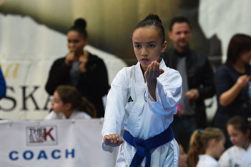 W ZSI zakończył się 2. dzień 18. edycji turnieju karate Cuprum