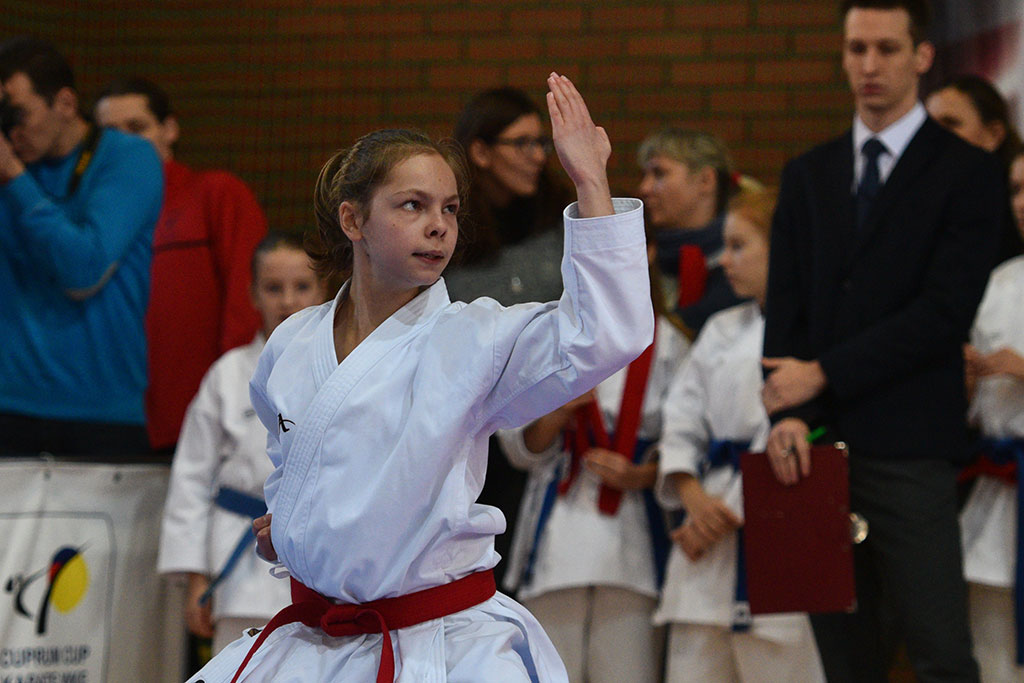 W ZSI zakończył się 2. dzień 18. edycji turnieju karate Cuprum