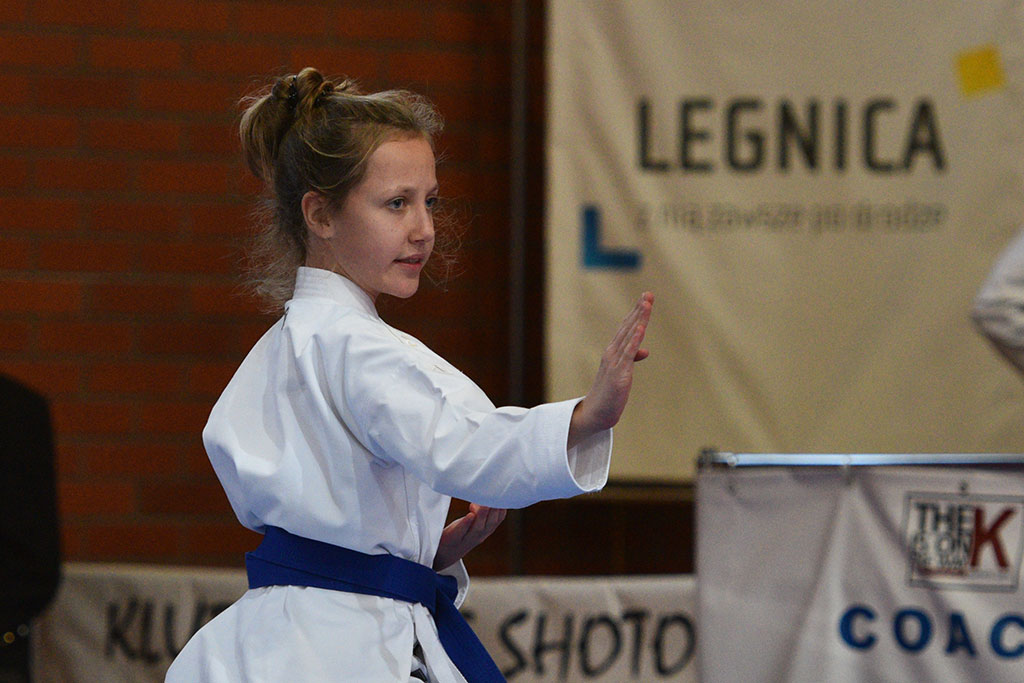 W ZSI zakończył się 2. dzień 18. edycji turnieju karate Cuprum