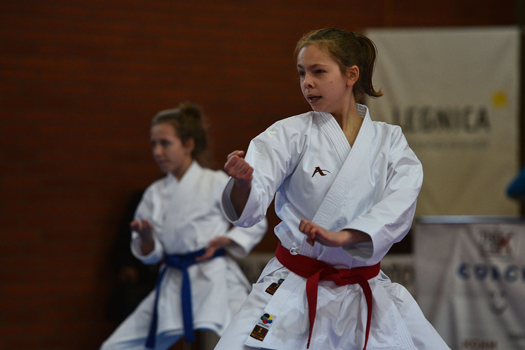 W ZSI zakończył się 2. dzień 18. edycji turnieju karate Cuprum
