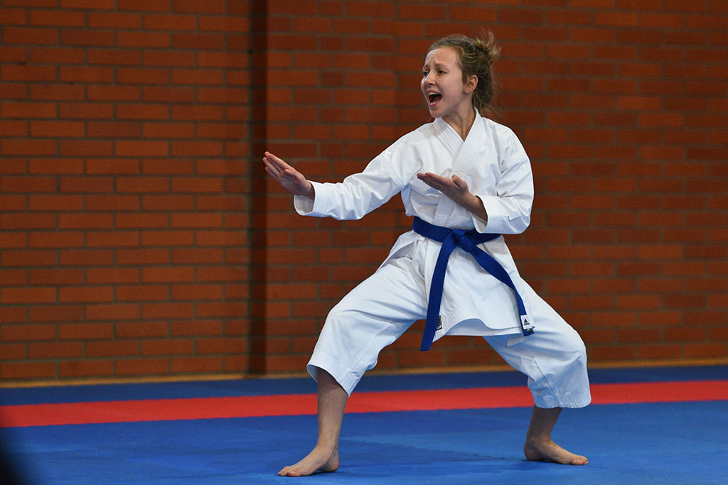 W ZSI zakończył się 2. dzień 18. edycji turnieju karate Cuprum
