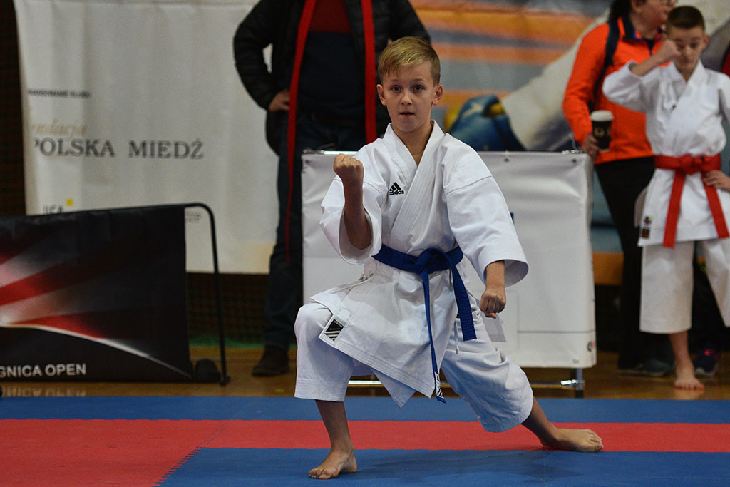 W ZSI zakończył się 2. dzień 18. edycji turnieju karate Cuprum
