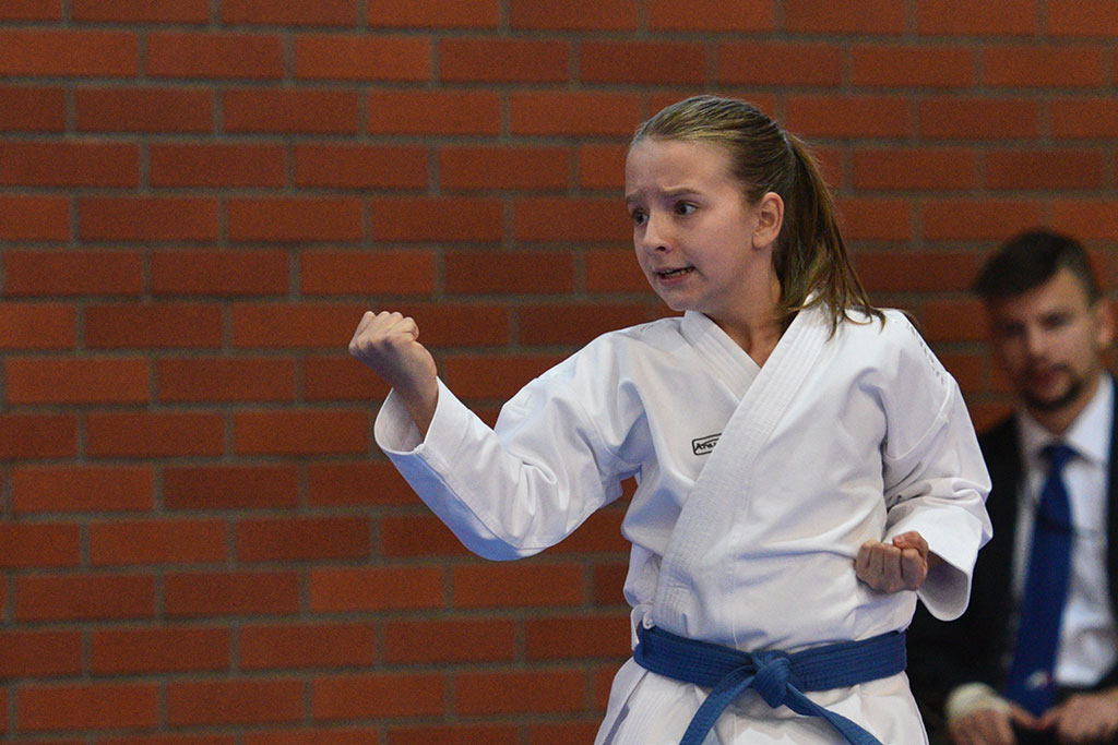 W ZSI zakończył się 2. dzień 18. edycji turnieju karate Cuprum