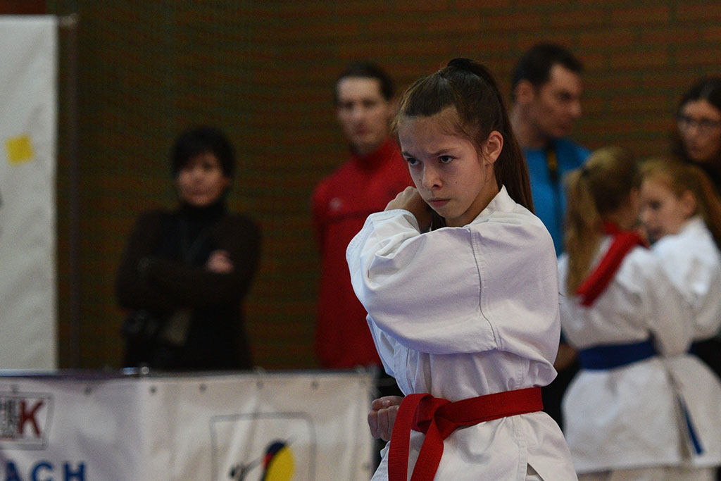 W ZSI zakończył się 2. dzień 18. edycji turnieju karate Cuprum