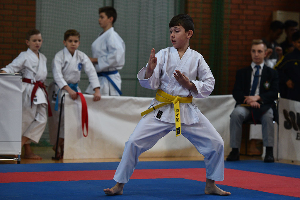 W ZSI zakończył się 2. dzień 18. edycji turnieju karate Cuprum