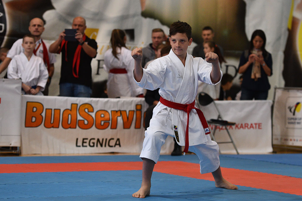 W ZSI zakończył się 2. dzień 18. edycji turnieju karate Cuprum