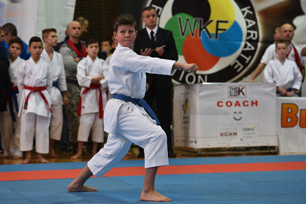 W ZSI zakończył się 2. dzień 18. edycji turnieju karate Cuprum