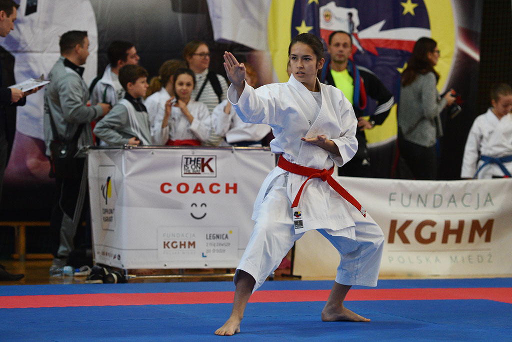 W ZSI zakończył się 2. dzień 18. edycji turnieju karate Cuprum