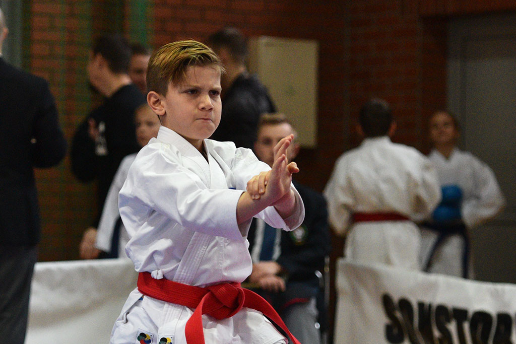 W ZSI zakończył się 2. dzień 18. edycji turnieju karate Cuprum