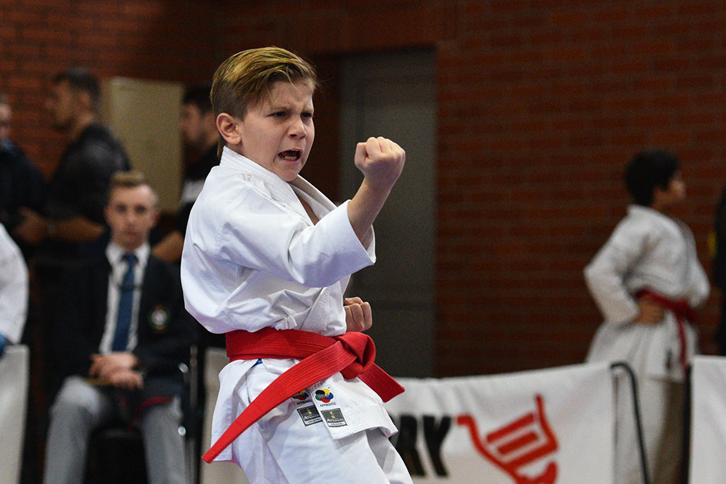 W ZSI zakończył się 2. dzień 18. edycji turnieju karate Cuprum