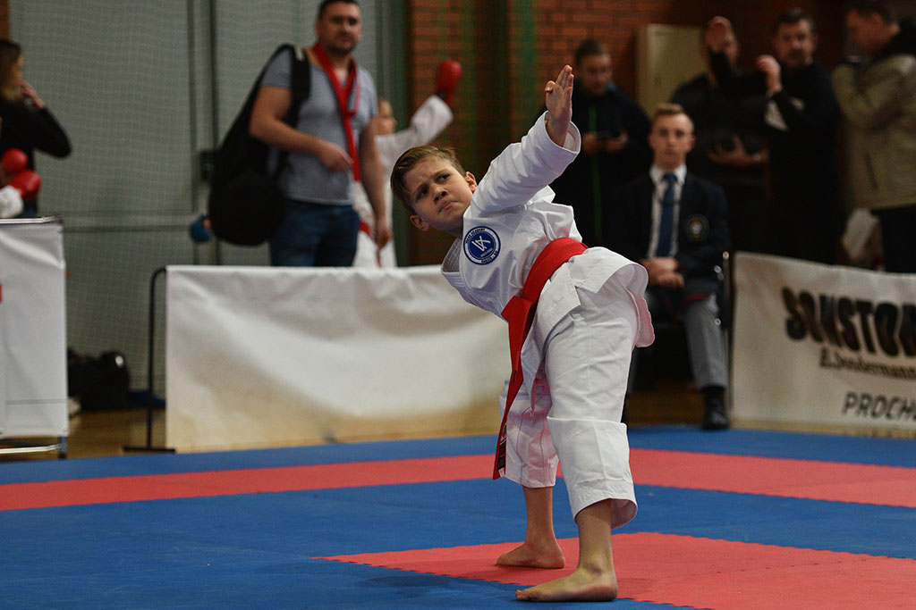 W ZSI zakończył się 2. dzień 18. edycji turnieju karate Cuprum