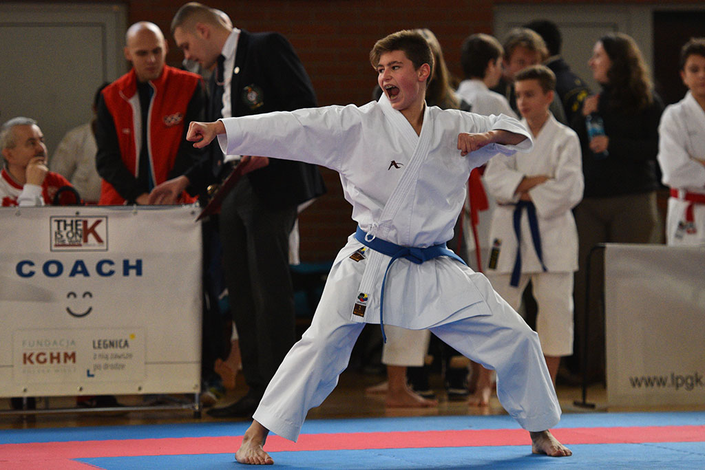 W ZSI zakończył się 2. dzień 18. edycji turnieju karate Cuprum