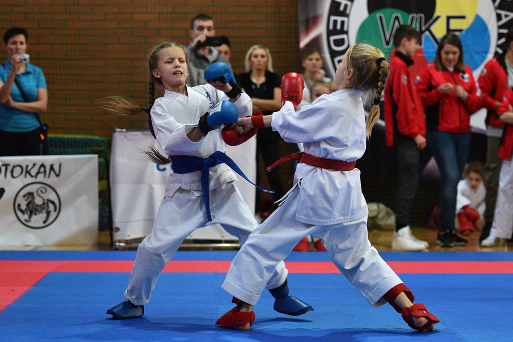 W ZSI zakończył się 2. dzień 18. edycji turnieju karate Cuprum