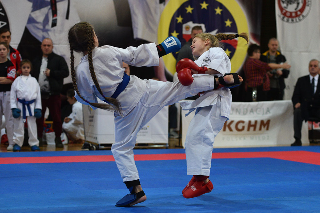 W ZSI zakończył się 2. dzień 18. edycji turnieju karate Cuprum