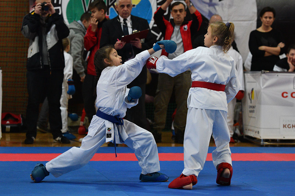 W ZSI zakończył się 2. dzień 18. edycji turnieju karate Cuprum