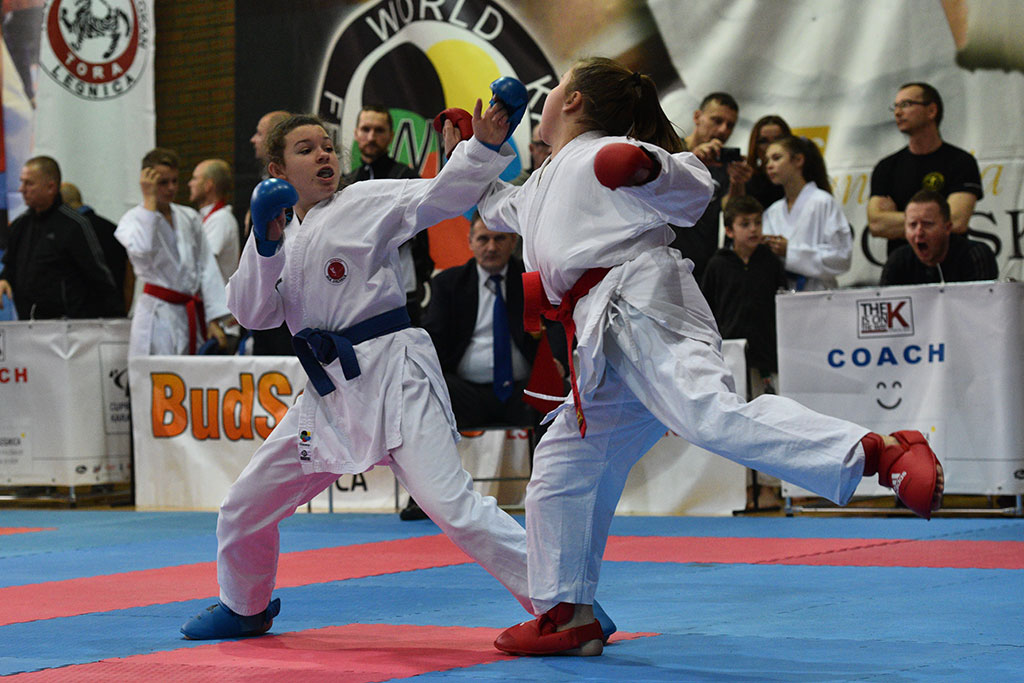 W ZSI zakończył się 2. dzień 18. edycji turnieju karate Cuprum