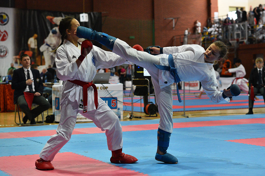W ZSI zakończył się 2. dzień 18. edycji turnieju karate Cuprum