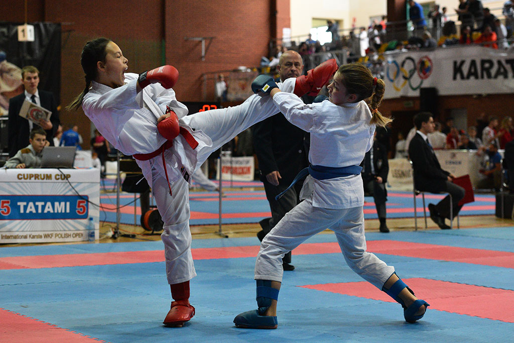 W ZSI zakończył się 2. dzień 18. edycji turnieju karate Cuprum
