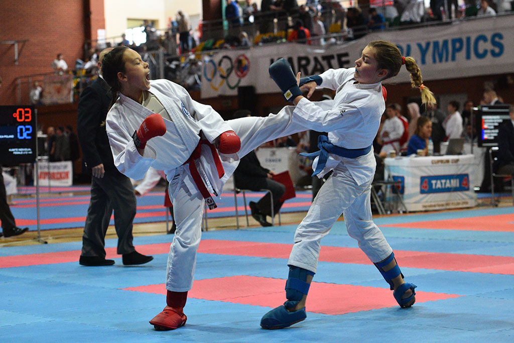 W ZSI zakończył się 2. dzień 18. edycji turnieju karate Cuprum