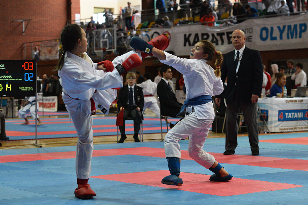 W ZSI zakończył się 2. dzień 18. edycji turnieju karate Cuprum